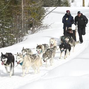 Meet your Posher, Carlos
